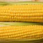 Corncobs