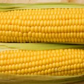 Corncobs