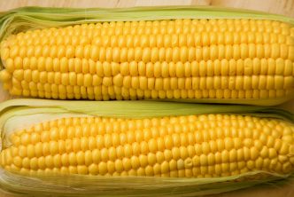 Corncobs