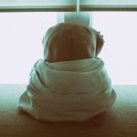 Person feeling shameful