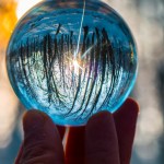 Synchronicity - Viewing forest through glass sphere