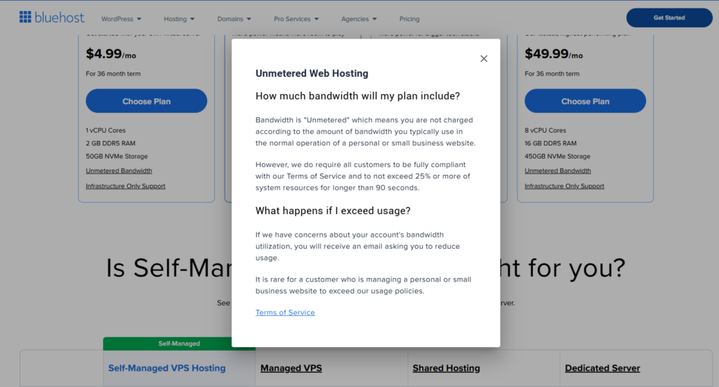 Bluehost unmetered web hosting fair usage policy